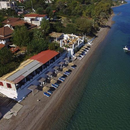 Taradella Hotel Alissos ภายนอก รูปภาพ