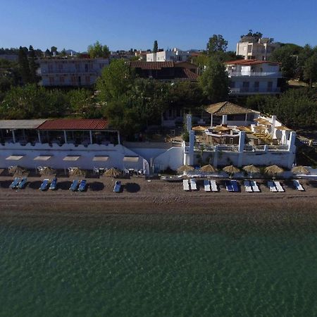 Taradella Hotel Alissos ภายนอก รูปภาพ